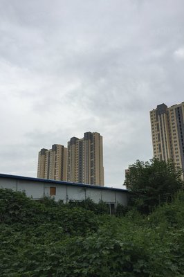 查看九州方圓國際靠譜人氣經(jīng)紀人!